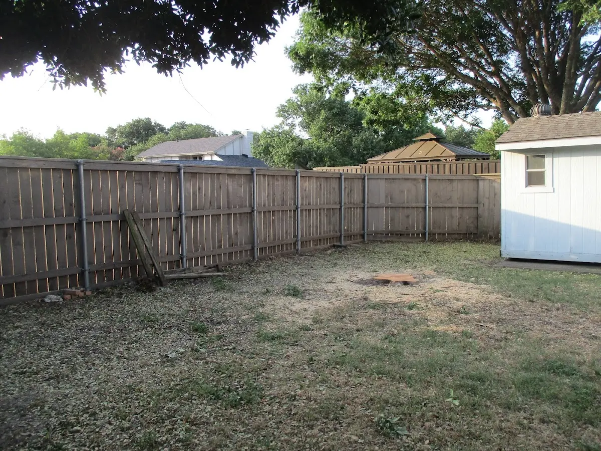 Cleared yard after professional tree removal in Wellington